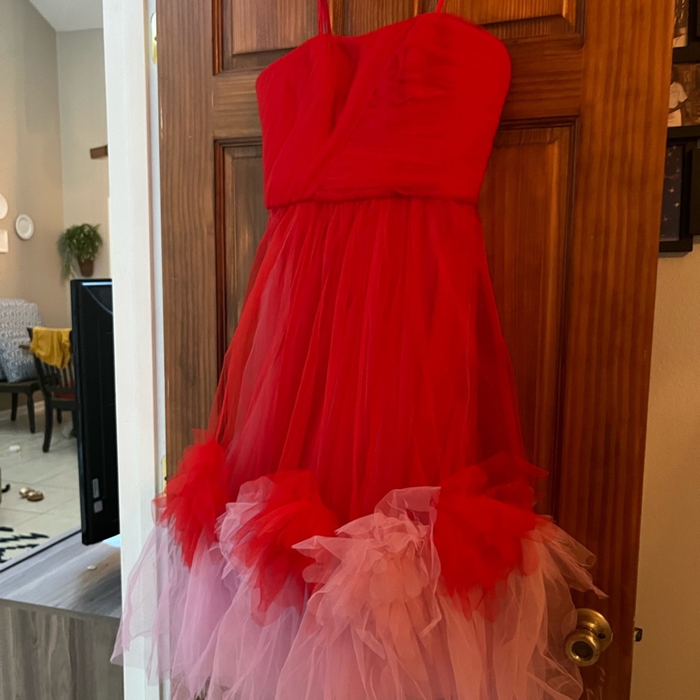 BCBGMAXAZRIA Red & Pink Tulle Dress